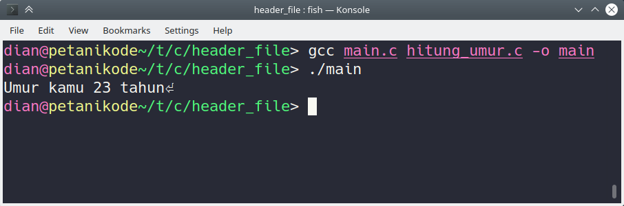 program output results