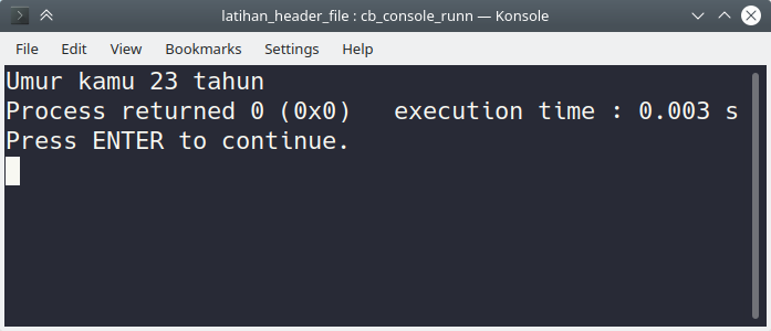codeblocks run results