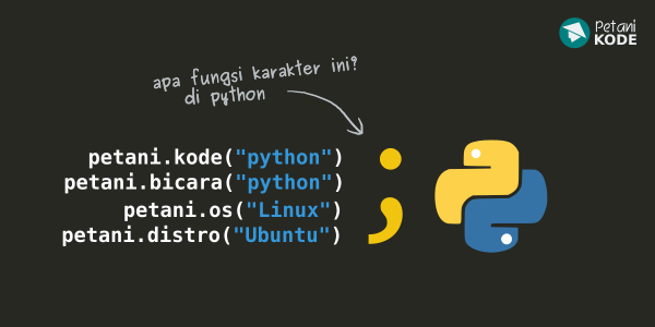 Manfaat Titik Koma pada Python yang Jarang diketahui Orang