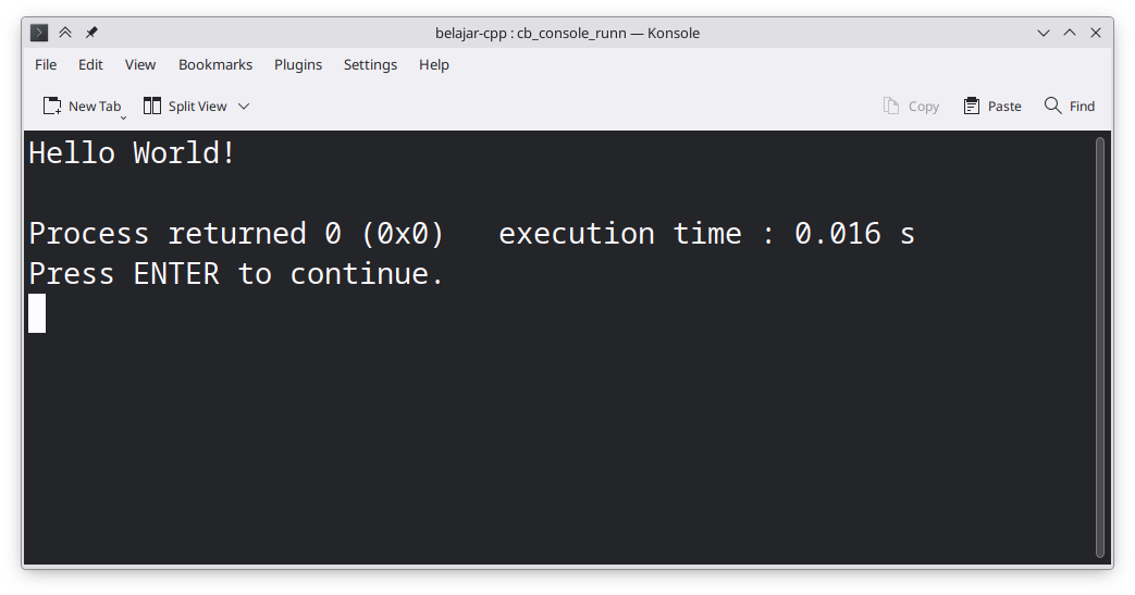 Codeblocks console