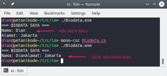 Belajar C#: Mengenal Fungsi Input dan Output pada C#