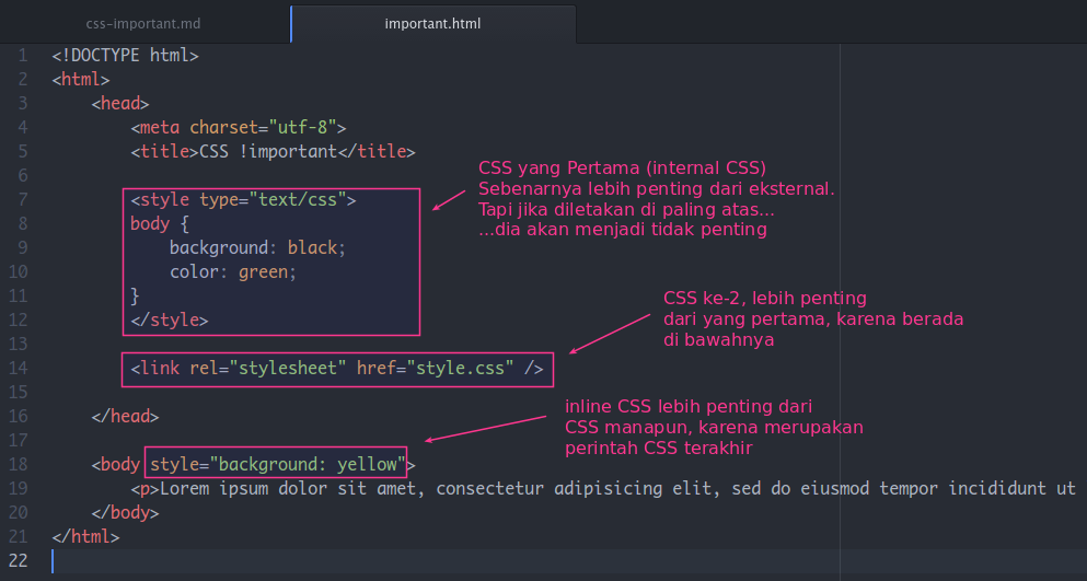 Apakah Fungsi `!important` pada CSS dan Kapan Harus Menggunakannya?