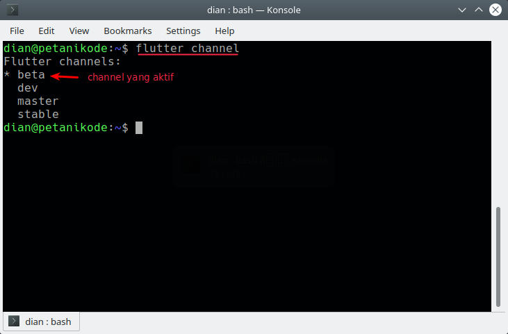 Flutter channel. Flutter channel