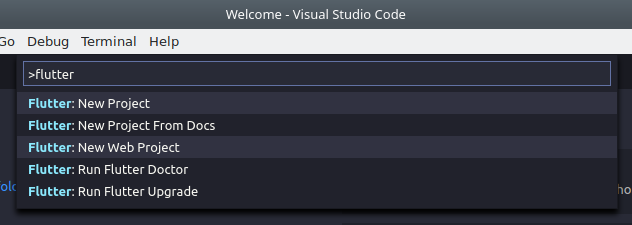 Как создать новый проект в vs code flutter