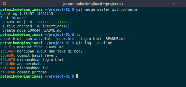 git add remote ref