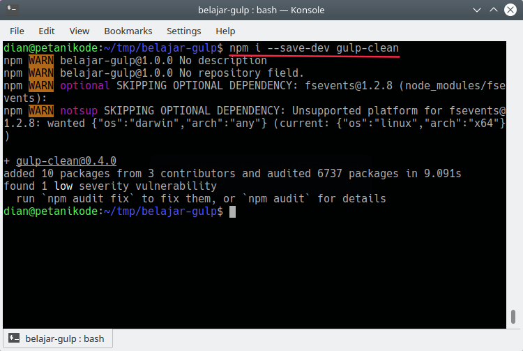 Npm install save dev