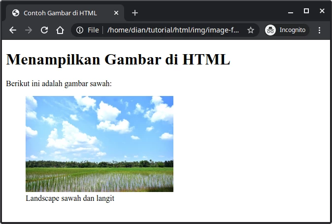 contoh figure