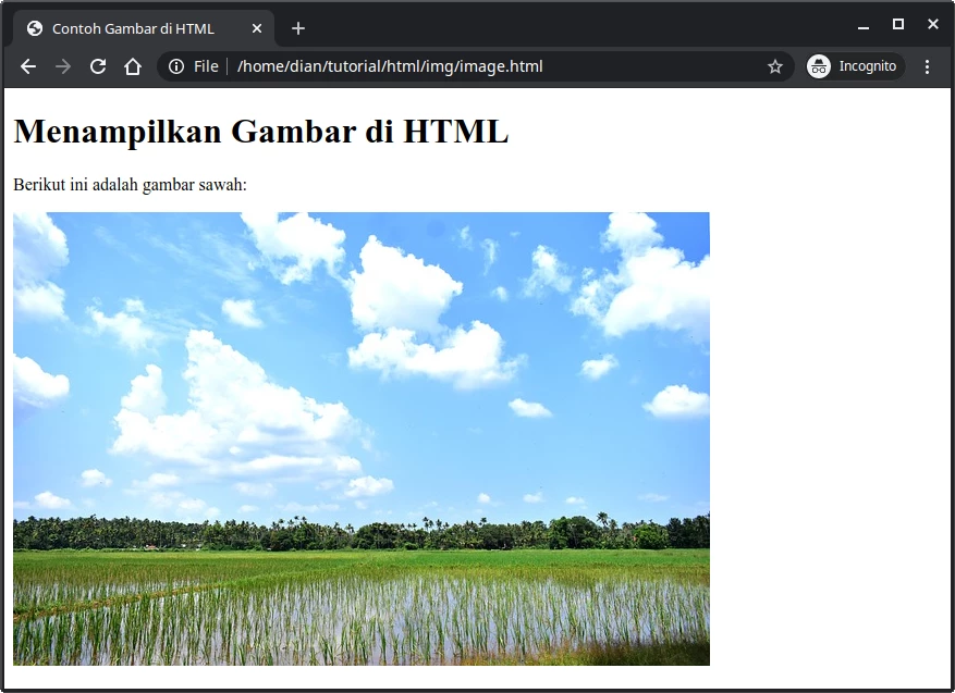 Contoh image pada HTML