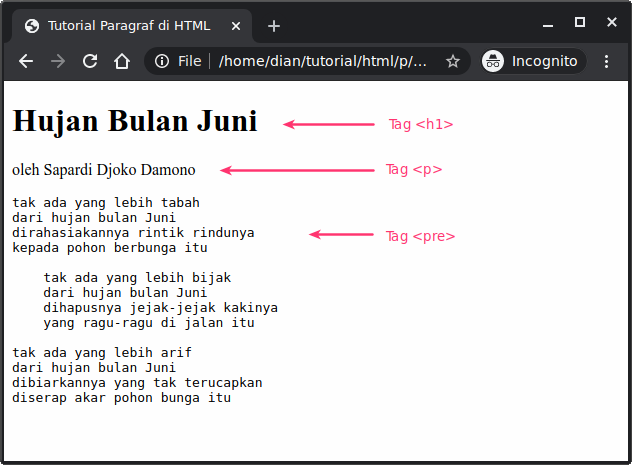 Tag pre untuk paragraf