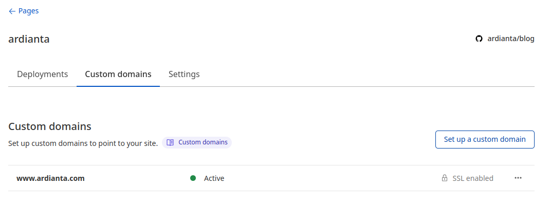 custom domain