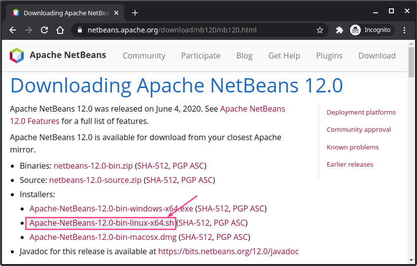 Persiapan Pemrograman Java di Linux 10 download netbeans