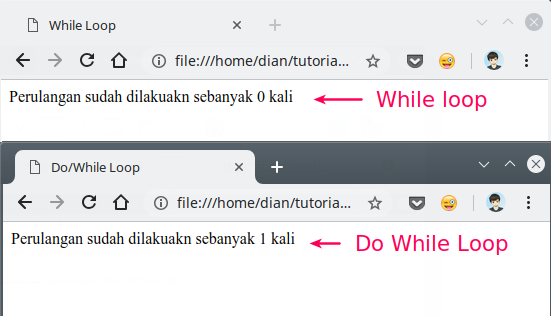 Dowile loop vs while loop