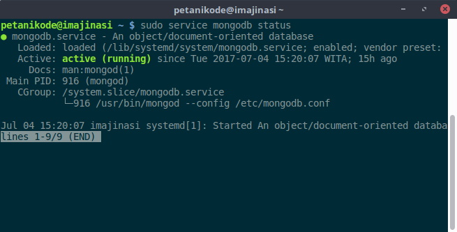 Status server Mongodb