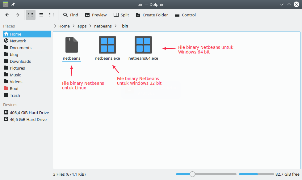 File Binary Netbeans