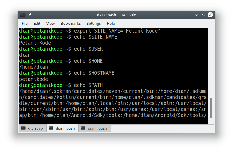 Linux set env