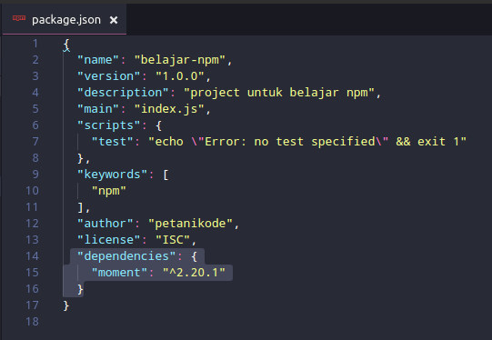 Как установить npm в проект