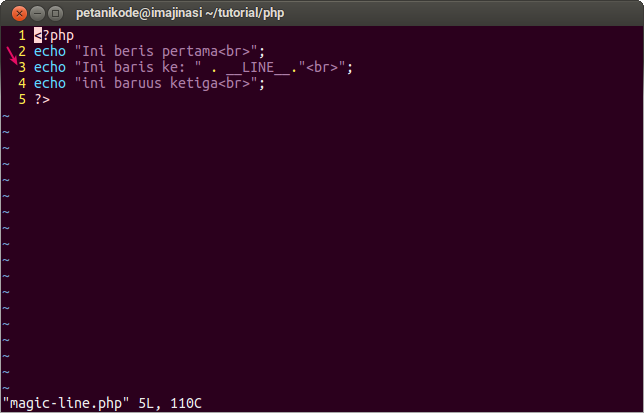 Php lines