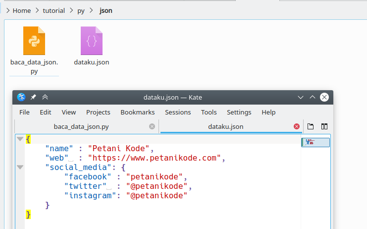 Import json file. Json Формат. Передача картинки в json. Формат json файла. Открыть json файл.