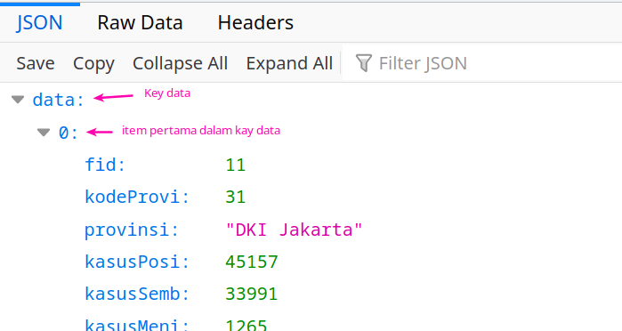 Filters json