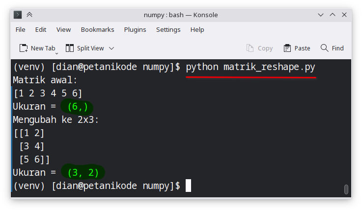 Reshape matriks dengan Numpy