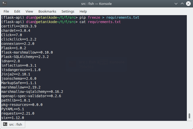 Python requirements